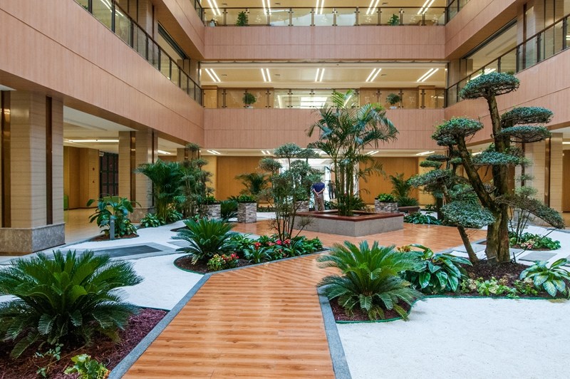 濰坊市中醫(yī)院東院區景觀綠化工程